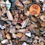 Pink Abalone Chunks!