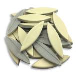 Eclipse Collection - EC20 Matte Yellow