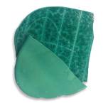 Tortillas - Green Seas