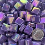 Sweetie Iridized SL64 Iridized African Violet