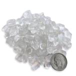 DewDrops - Spider Web