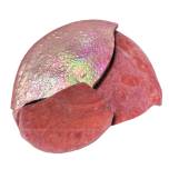 Thick Cut Tortillas - Iridized Pink
